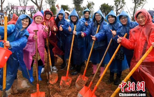 在福州的女性台胞台属代表也加入到海峡两岸各界妇女共植“巾帼林”活动中。　记者刘可耕　摄